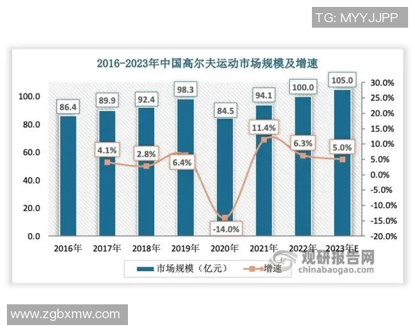 北京羽毛球队比赛经验深度对比分析与其他球队的差异与启示